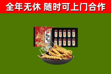 西沙区回收冬虫夏草价格